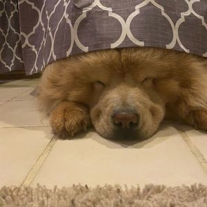 Meet your Posher, Aylissa